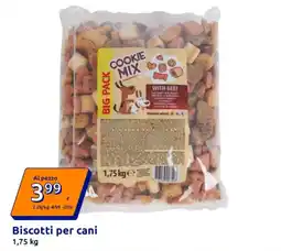 Action Biscotti per cani offerta