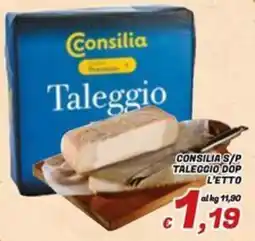 Idromarket Consilia Taleggio offerta