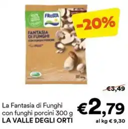 Unes Fantasia di Funghi con funghi porcini offerta
