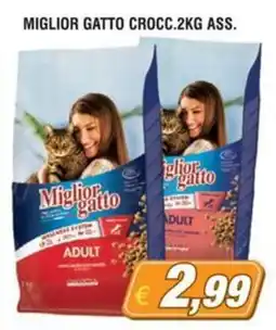 Vapashop Miglior gatto Adult offerta