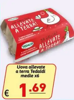 Ipercarni Uova allevate a terra Tedaldi offerta
