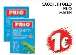 èccoMI Sacchetti gelo Frio offerta