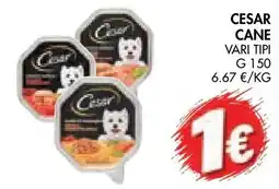 èccoMI Cesar cane offerta