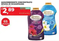 Coop Master Alleanza 3.0 Ammorbidente concentrato Spuma di Sciampagna offerta