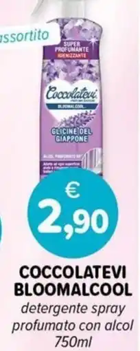 Il Tulipano Coccolatevi Bloomalcool offerta
