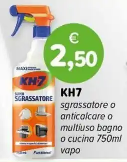 Il Tulipano KH7 sgrassatore offerta