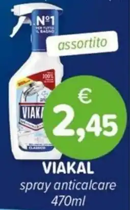 Il Tulipano Viakal spray anticalcare offerta
