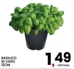Interspar Basilico in vaso offerta