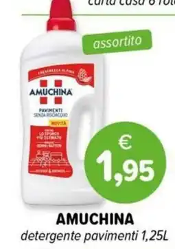 Il Tulipano Amuchina detergente pavimenti offerta