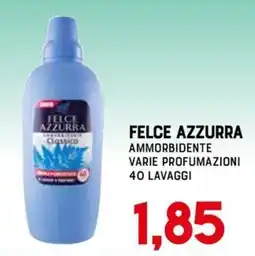 Gran Risparmio Felce Azzurra ammorbidente classico offerta