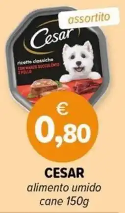 Il Tulipano Cesar alimento umido cane offerta