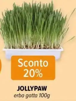 Il Tulipano Jollypaw erba gatta offerta