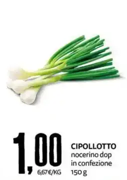PRO7 Supermercati Cipollotto nocerino dop offerta