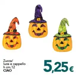 Altasfera Zucca/ luce e cappello offerta