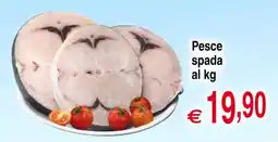 Centro Oceano Pesce spada offerta