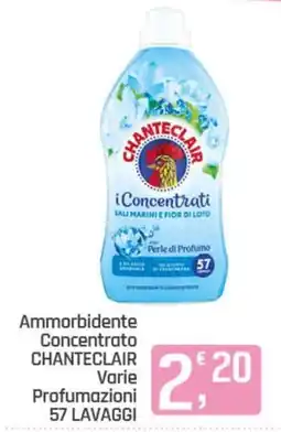 Ottimo Market Ammorbidente Concentrato CHANTECLAIR offerta