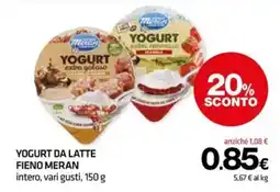 Superconti Yogurt da latte Fieno Meran offerta