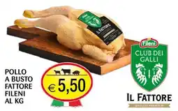 Centro Oceano Pollo a busto fattore fileni offerta