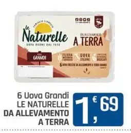 Ottimo Market Uova Grandi Le Naturelle offerta