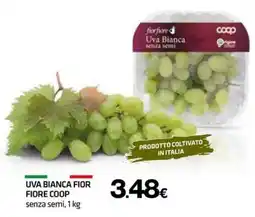 Superconti Uva Bianca Fior Fiore Coop senza semi offerta