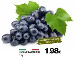 Superconti Uva nera palieri offerta