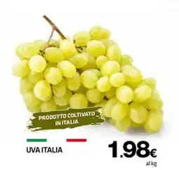 Superconti Uva Italia offerta