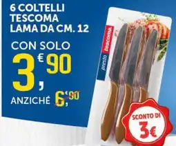 Ottimo Market Coltelli Tescoma offerta