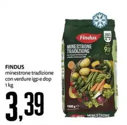 PRO7 Supermercati Findus minestrone tradizione con verdure igp e dop offerta