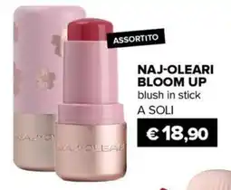Il Tulipano NAJ-OLEARI Bloom Up blush in stick offerta