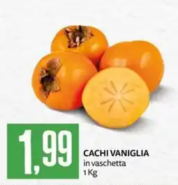 PRO7 Supermercati Cachi vaniglia offerta
