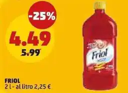 PENNY Friol offerta