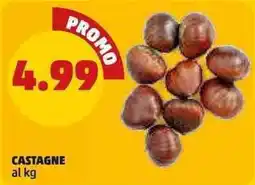 PENNY Castagne offerta