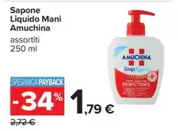 Carrefour SAPONE LIQUIDO MANI AMUCHINA offerta