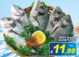 Idromarket Orate offerta