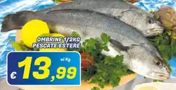 Idromarket Ombrine pescate estere offerta