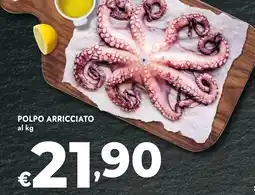 Bennet Polpo arricciato offerta
