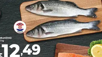 Bennet Branzino offerta