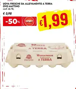 Bennet Uova fresche da allevamento a terra Ovo Mattino offerta