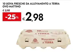 Bennet Uova fresche Ovo Mattino a terra offerta