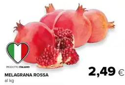 Tigre Melagrana Rossa offerta