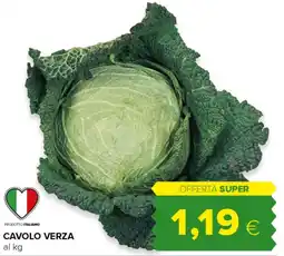Tigre Cavolo Verza offerta