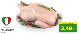 Tigre Pollo busto offerta