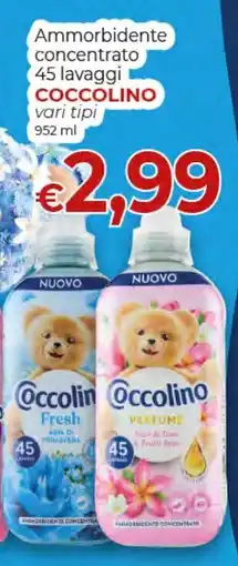 Maxi Nonna Isa Ammorbidente concentrato Coccolino offerta