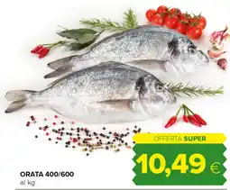 Tigre Orata offerta