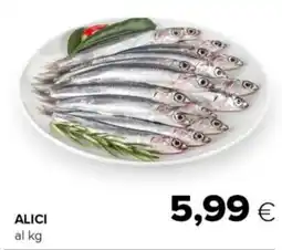 Tigre Alici offerta