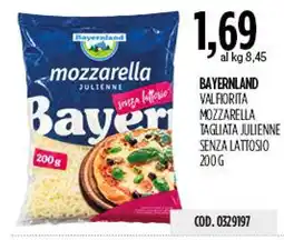 Carico Cash & Carry Mozzarella julienne Bayer offerta
