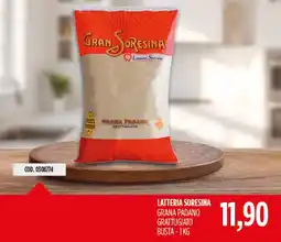 Carico Cash & Carry Grana Padano grattugiato Latteria Sorensina offerta