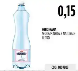 Carico Cash & Carry Sorgesana acqua minerale naturale offerta