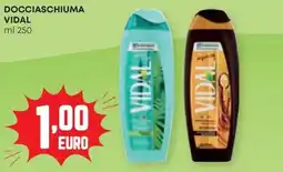 Panorama Docciaschiuma Vidal offerta