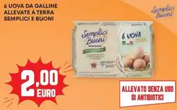 Panorama Uova da galline allevate a terra Semplici Buoni offerta